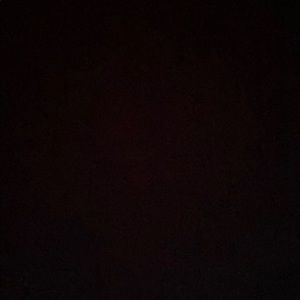 Meet your Posher, Allie